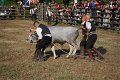 IMG_9909