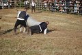 IMG_9911