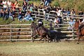 IMG_9915