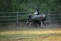 IMG_9922