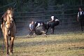 IMG_9925