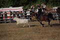 IMG_9929