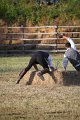 IMG_9941