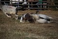 IMG_9949