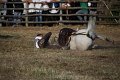 IMG_9950